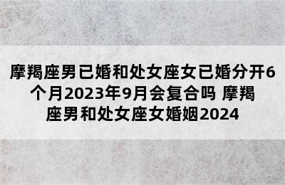 摩羯座男已婚和处女座女已婚分开6个月2023年9月会复合吗 摩羯座男和处女座女婚姻2024